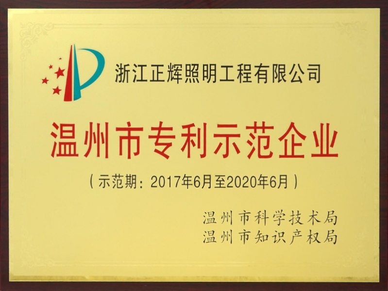 溫州市專利示范企業(yè)