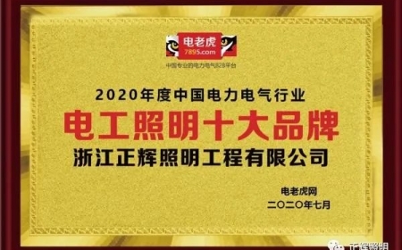 品牌榮譽(yù)！祝賀浙江正輝照明榮膺2020年“電工照明十大品牌”